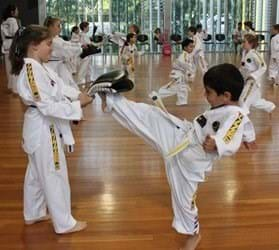 Cubs Taekwondo Class 3