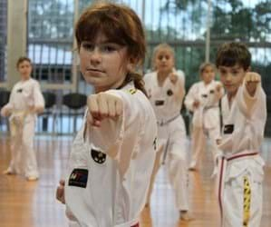 Tigers Taekwondo Class 2