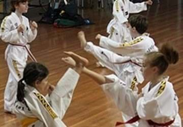 Cubs Taekwondo Class 4