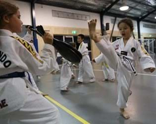 Cubs Taekwondo Class